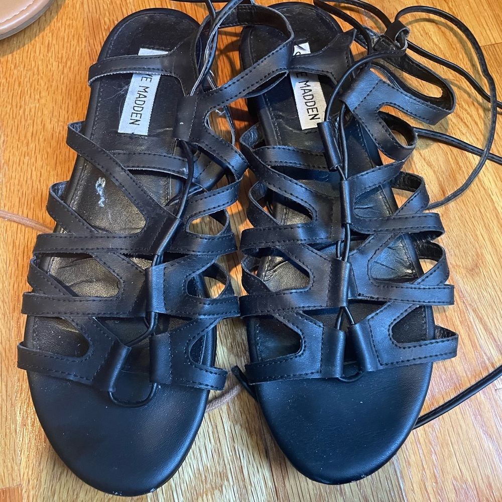 Black gladiators